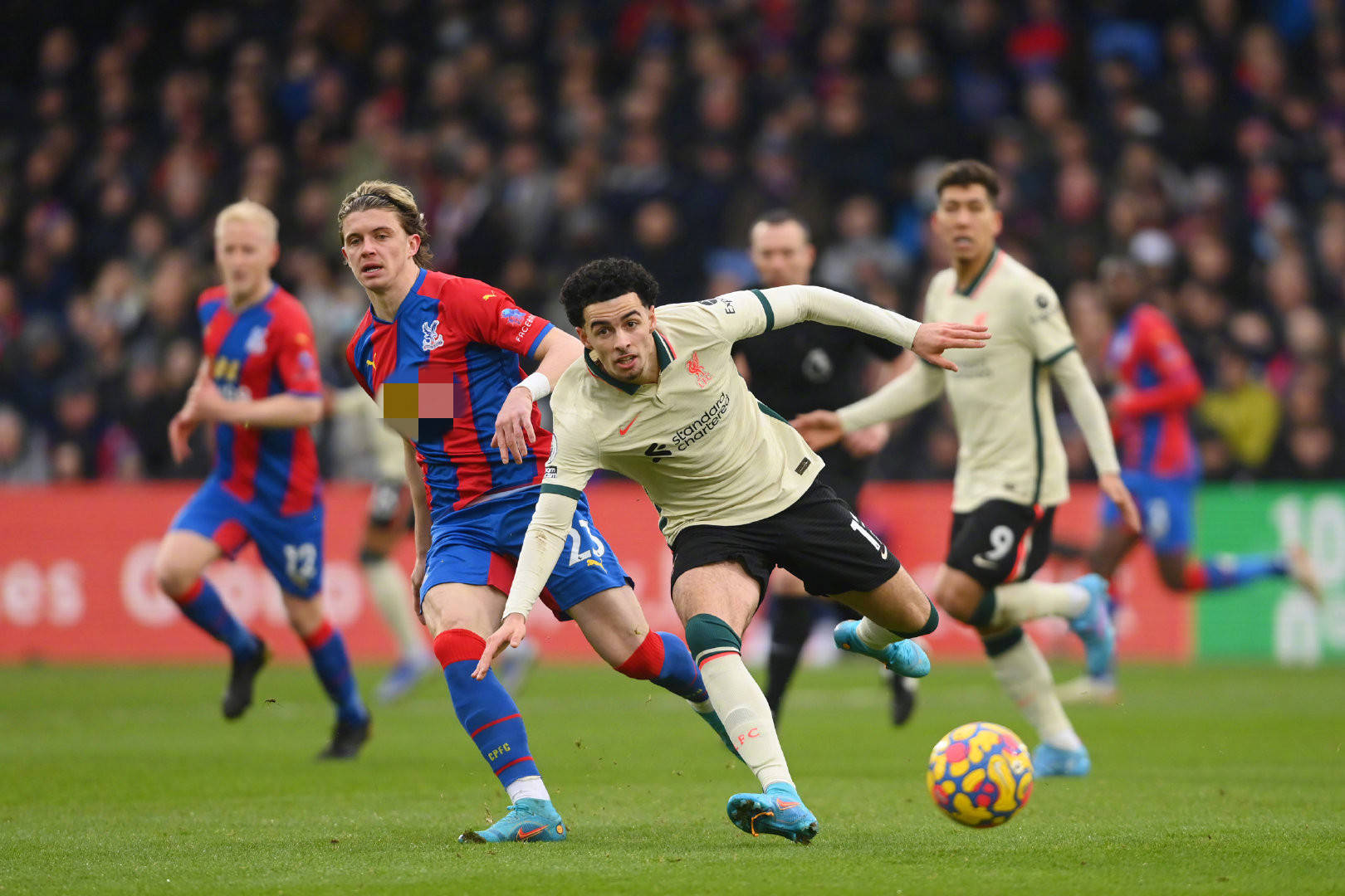 场展现了强 场展现了强